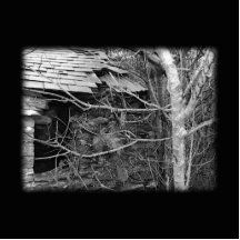 Old cottage and Tree. Black and white. Photo Cut Outs