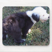 Old English Sheepdog Puppy Mouse pad