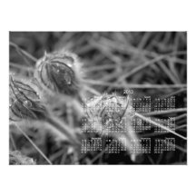 Old Fashioned Flowers; 2013 Calendar Photographic Print