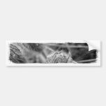 Old Fashioned Flowers Bumper Sticker