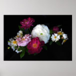 Old fashioned Roses Posters