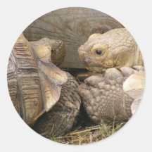 Old Gossips Round Stickers