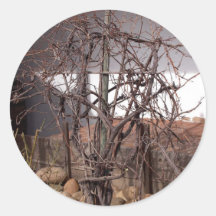 Old Grape Vines Sticker