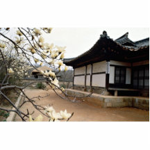 Old palace in spring photo cut out