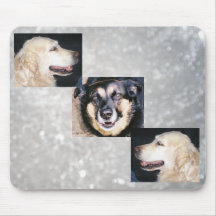 Old Pals Mouse Pads