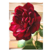 Old Red Rose Invites
