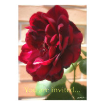 Old Red Rose - Simple Personalized Announcement
