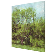 Old Shade Tree (Digital Painting from Photography) canvas prints