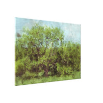 Old Shade Tree (Digital Painting from Photography) canvas prints