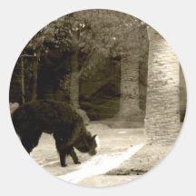 Old Wool Round Sticker
