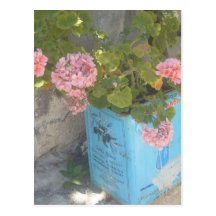 Olive Oil Tin in Bloom Postcard
