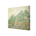 Olive Picking by van Gogh, Vintage Impressionism Canvas Print