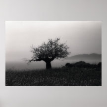 Olive Tree by the Sea Poster