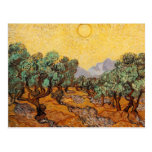 Olive Trees Post Card