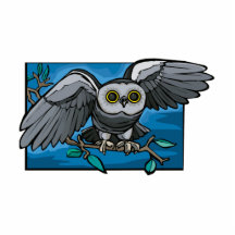 Olivina Owl Acrylic Cut Outs