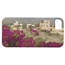 Oman, Western Hajar Mountains, Al Hamra. Town