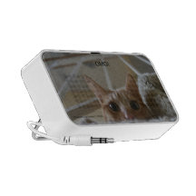 OMG! Cat speakers!