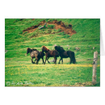 on the grass greeting card