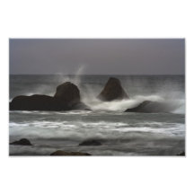 On The Rocks - White Point Beach, NS Art Photo