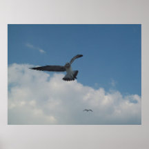 On the Wing Poster