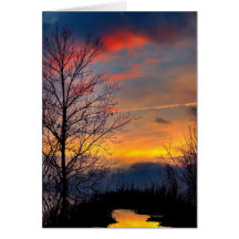 Once Upon A Time Card