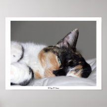 One-Eyed Cat Poster