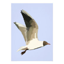 One Good Tern Personalised Announcements