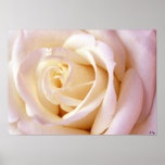 One Love Poster, S Cyr