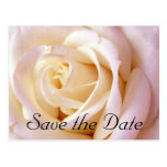 One Love, Save the Date Postcard