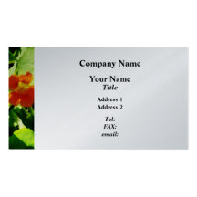 One Orange Nasturtium  - Platinum Finish Business Card