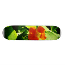 One Orange Nasturtium Skate Boards