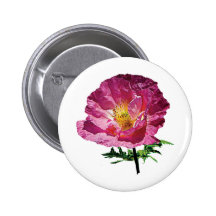 One Pink Poppy
