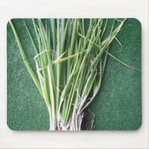 Onion Mouse Pad