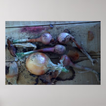 Onions Print