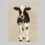 Onyx & Ivory Cow Postcard postcards
