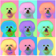 Op Art - Bichon Frise Acrylic Cut Out