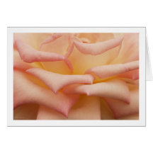 open arms card