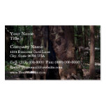 Open base of a large redwood business cards