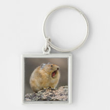 Open Wide Keychain