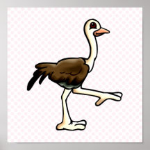 Ora Ostrich Poster