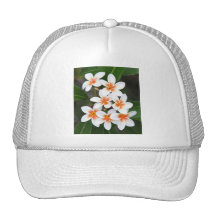 orange and white frangipani trucker hat