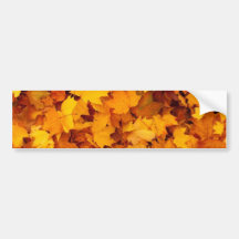 Orange and Yellow Fall Leaves Bumper Sticker