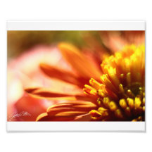 Orange Bokeh Photo Print