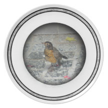 Orange Breasted Bird Plate