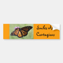 Orange Butterfly Bumper Sticker