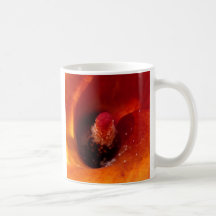 Orange Calla Lily Coffee Mug