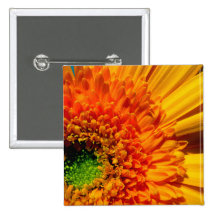 Orange Daisy Button