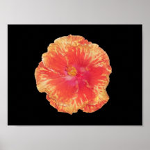 Orange Double Hibiscus Print