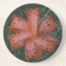 Orange flower coaster