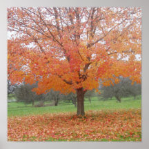 Orange foliage print